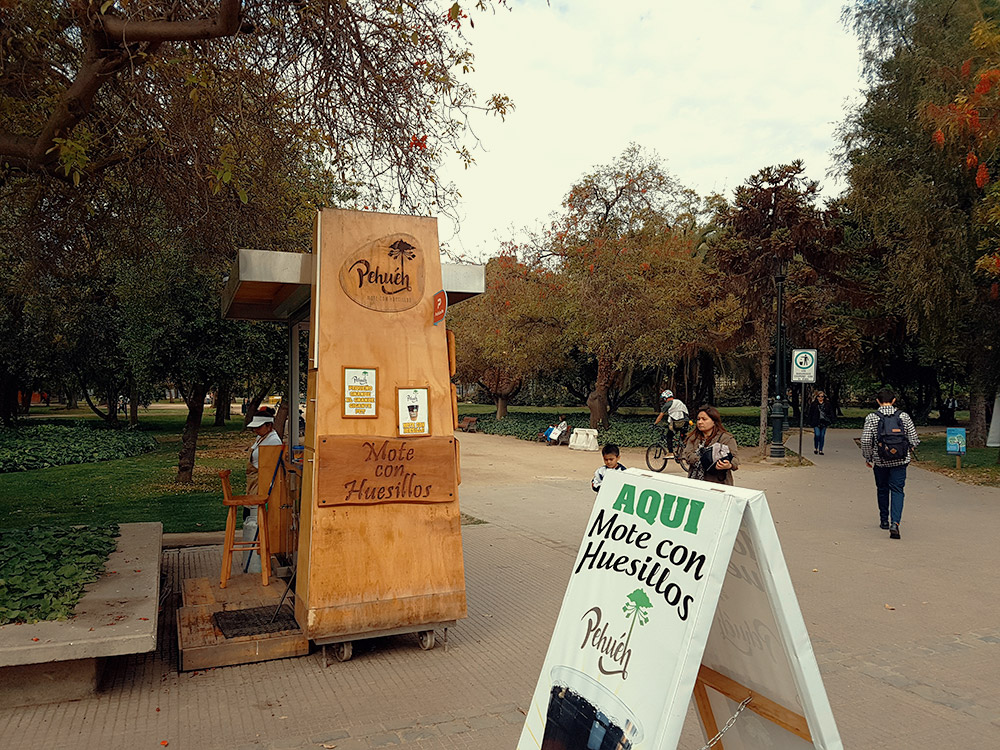 Parque Araucano 3